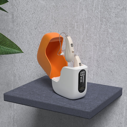HearGood StyleFit 313 – BTE Hearing Aid with Noise Reduction, Stylish & Rechargeable